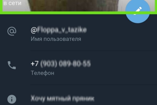 Гидра и кракен