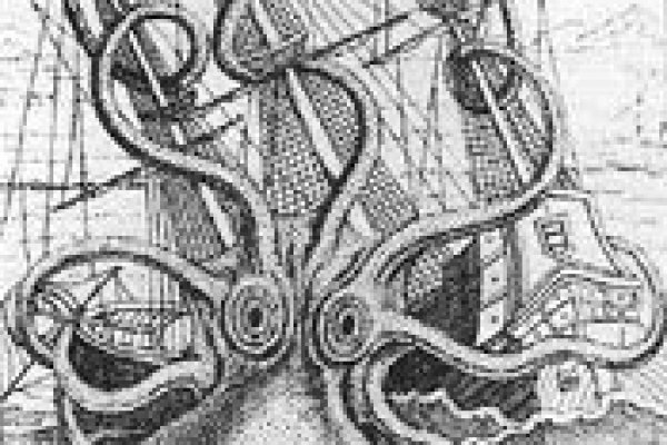 Kraken market3