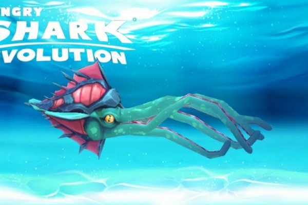 Kraken market