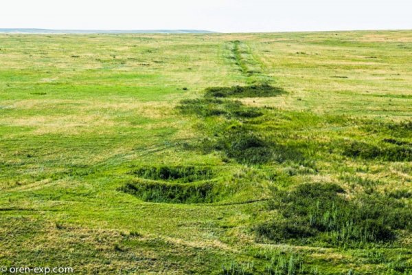 Почему не получается зайти на кракен