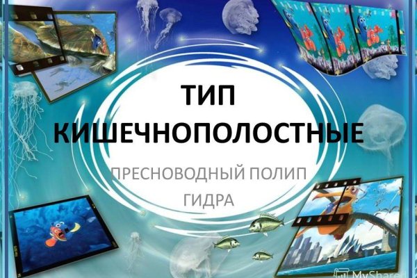 Гидра и кракен